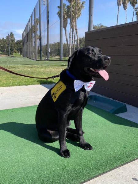 /Images/uploads/International Guiding Eyes Inc/gdapawsitivitycalendar/entries/20846thumb.jpg